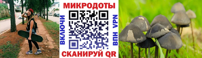 omg tor Арсеньев Псилоцибиновые грибы ЛСД